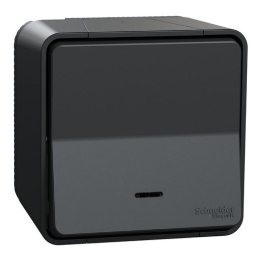 Εικόνα της MUR35028 Mureva Styl Μπουτόν με Λυχνία Led Ανθρακί Πλήρες Επίτοιχο IP55