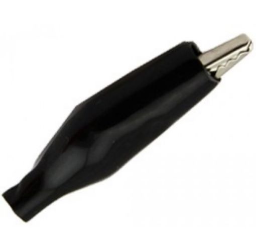 Picture of Crocodile Medium