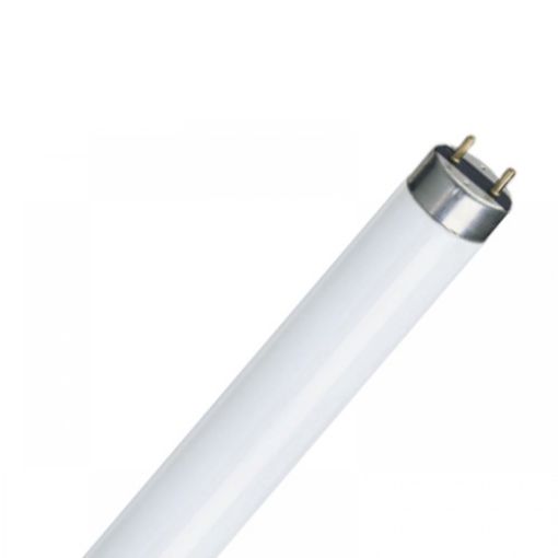Picture of Λάμπα Φθορίου 10W 4000K Φ26