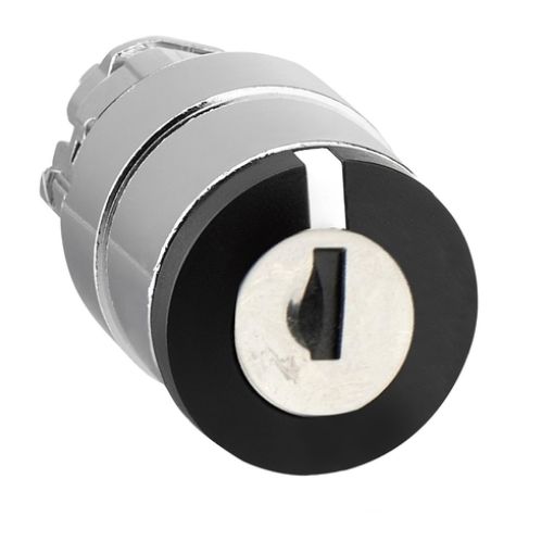Picture of ZB4BG0 Switch Head with Key 1-0-2 Comes Out Everywhere 455